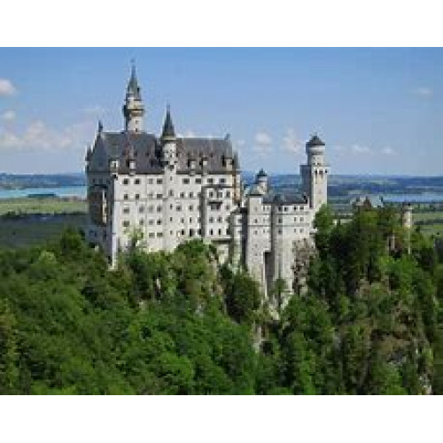 6226  WANGE The Neuschwanstein Castle | HOUSE 