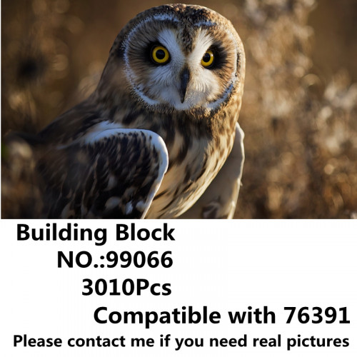 76391/99066 FAMOUS MAGIC MOVIE DELIVERY OWL PHOENIX | CREATOR |
