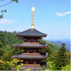 06022 THE ANCIENT TEMPLE | HOUSE