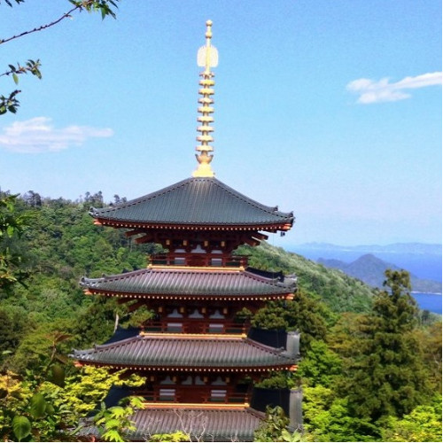 06022 THE ANCIENT TEMPLE | HOUSE