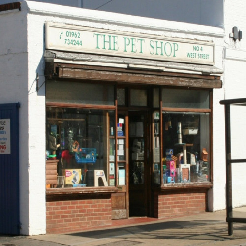 84009/15009 THE SHOP THAT HAS PET| CREATIVE