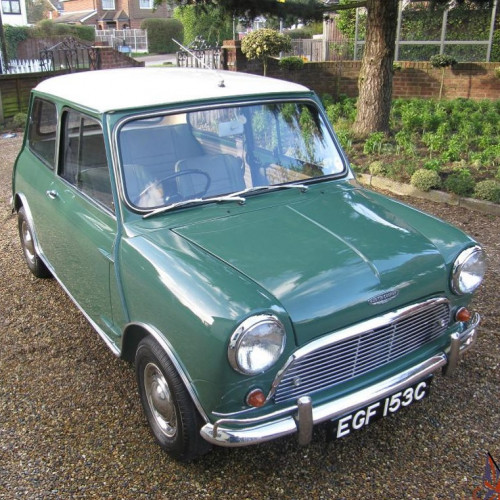 10568/91002/21002 THE RED-GREEN COOPER | CRE |